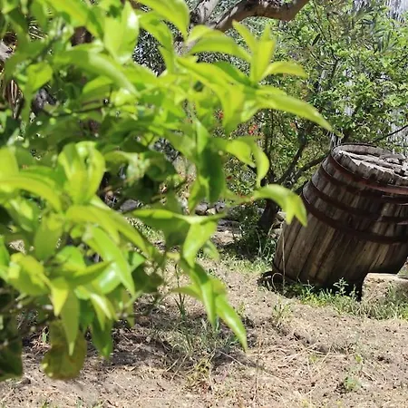 Casa Di Campagna Angolo Di Pace
